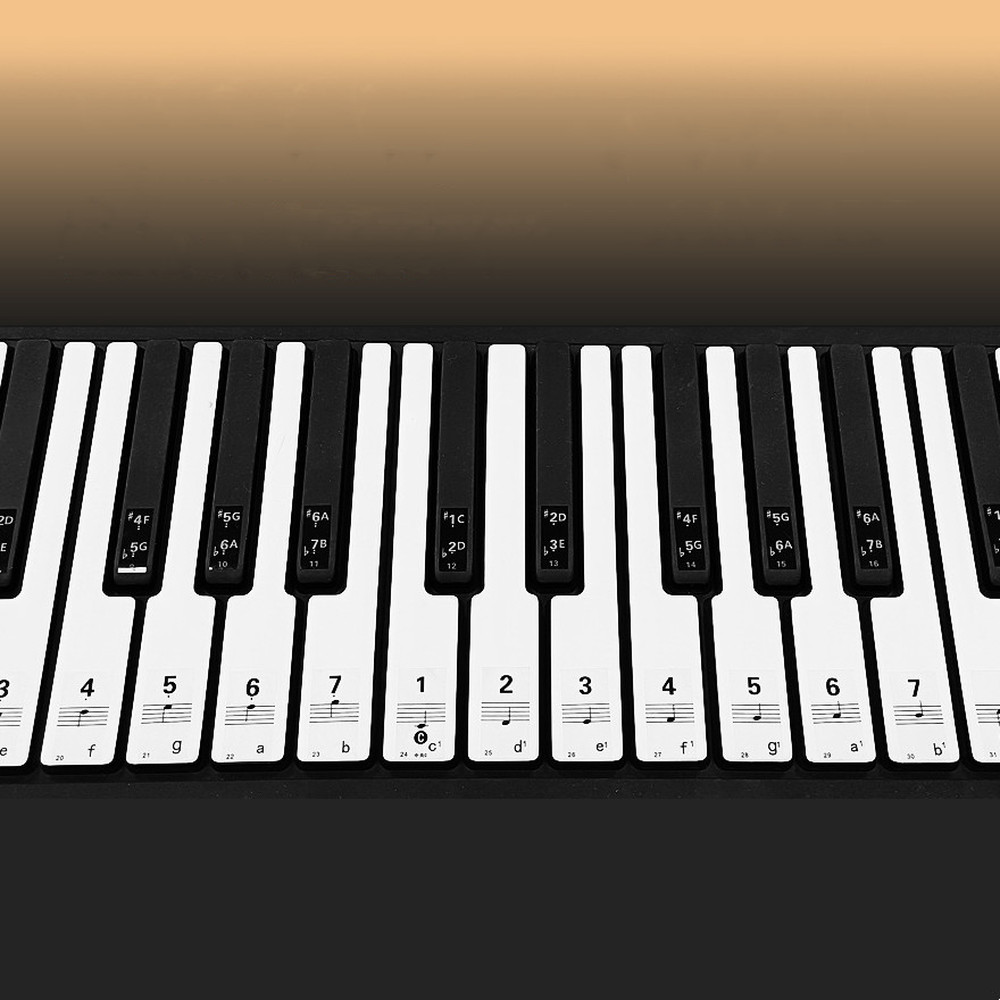 37/49/54/61/88 Tasten transparente Klaviertastatur-Aufkleber für Handrollenklavier/elektrisches Klavier, Notizwaage, Musiknotation, Anfänger – Detail 2