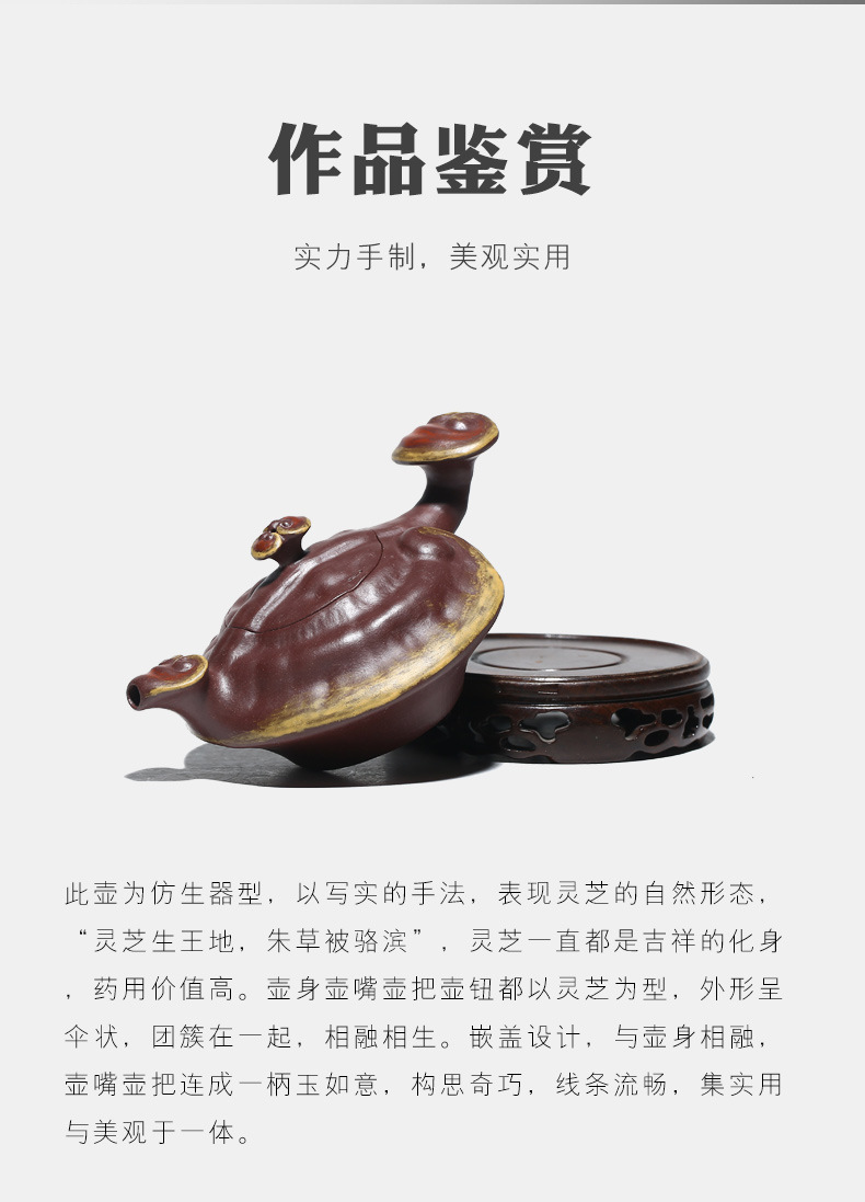 Ganoderma Ruyi_02.jpg