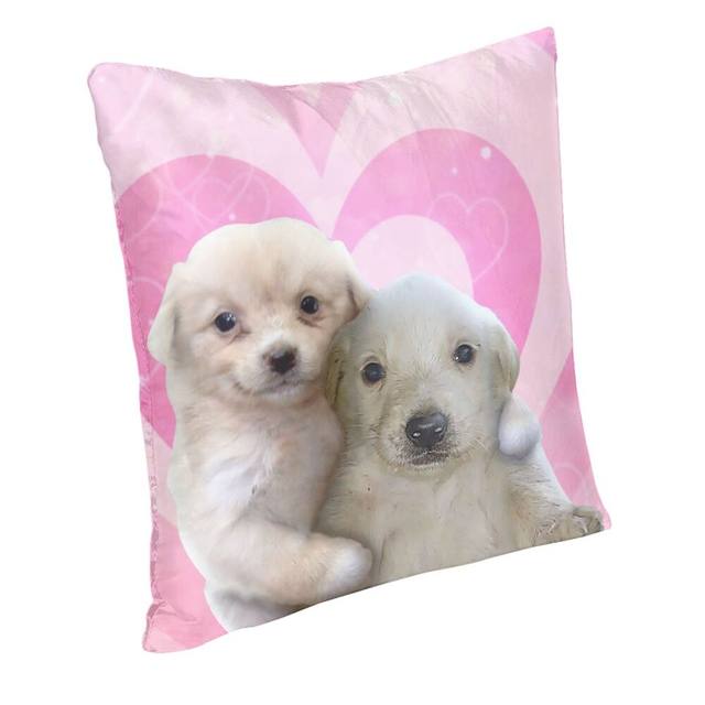 Yohanka with a pillow dog Pz-2021, Pet Accessories