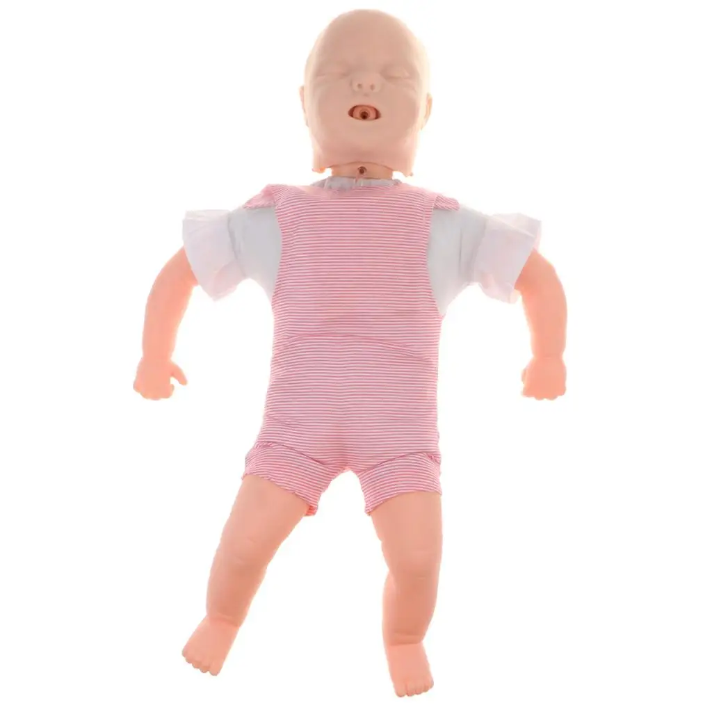 Infant Manikin Model, Choking Model, Classroom Nursery Study