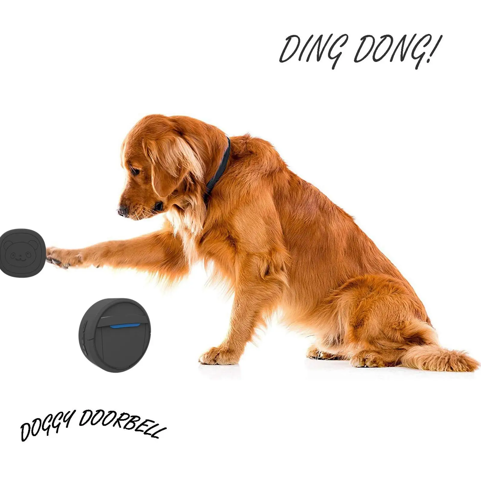 Wireless for Pets Dog Door Bell Wireless Doggy for Training with