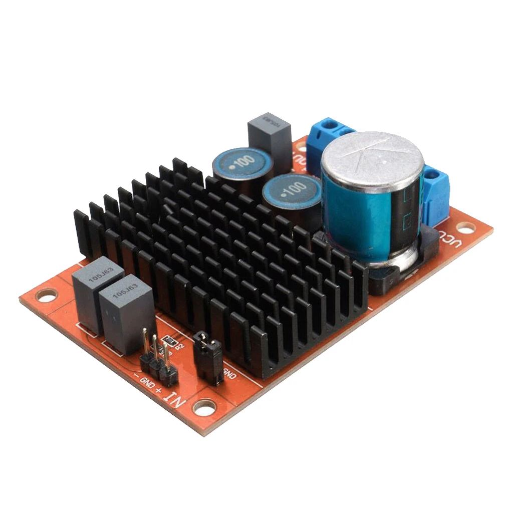  Single Channel Subwoofer Amp Amplifier Board for Home DIY Audio Speakers 