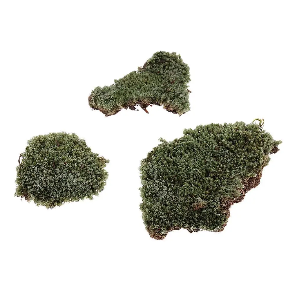   Sacle Sand Armor Building Lichen Moss Model for   Scenery Props