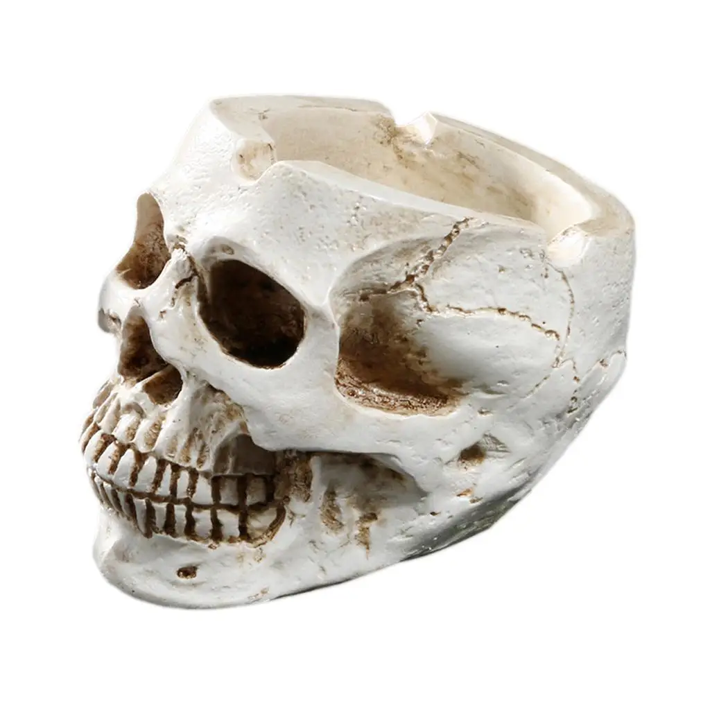 Human Skull Head Container Home Bar Decor -White