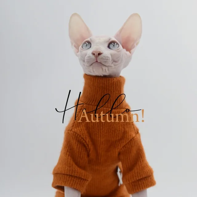 Mpk Store Neck Warming Hairless Cat Sweater Sphynx Cat Winter Clothes  Turtleneck Sweater - Cat Hoodies - AliExpress