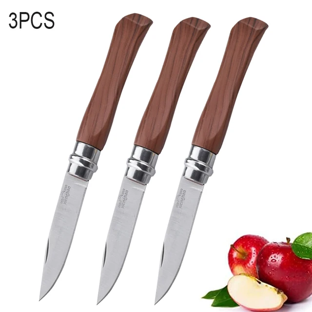 Kitchen Fruit Knife Household Peeling Knife Melon And Fruit Knife Outdoor  Barbecue Meat Knife Handle Meat Knife Multi-purpose Knife Gifts For Men Dad  Boyfriend, Fathers Day Travel Halloween Christmas Wedding Gift 