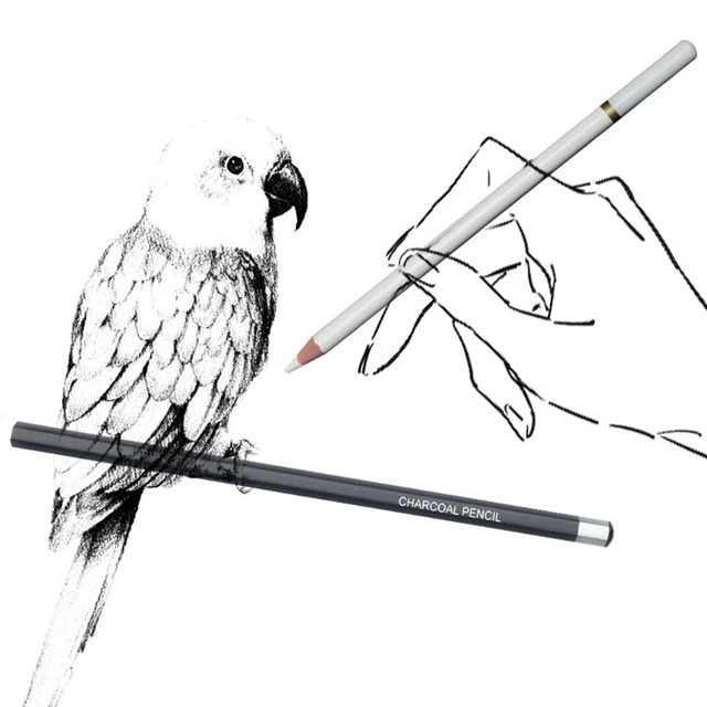 Realistic color pencil parrot drawing... - Pr3 Creative art | Facebook