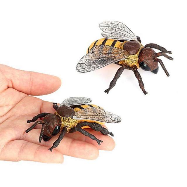 Honeybee, Plastic Toy Animal, Kids Gift, Realistic Figure, Educational  Model, Replica, 1 3/4 inches long F1654 B75