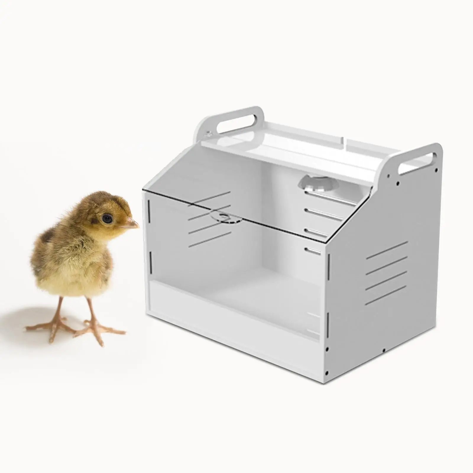 Egg Incubator Hatching Easy Cleaning Clear Top Cover Incubation Box Automatic Poultry Hatcher Machine for Bird Parakeet Chicken