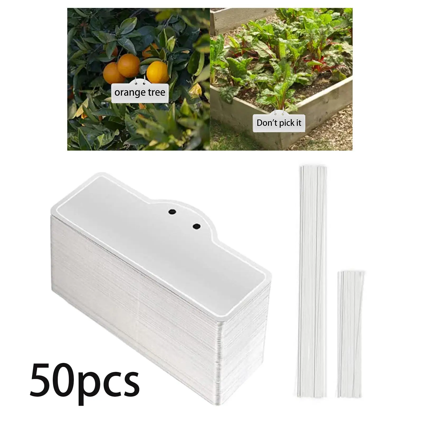 50 Pieces Hanging Plant Labels Durable Nursey Seeding Double Sided Plant Sign Tags for Greenhouse Items Horticulture Vegetables