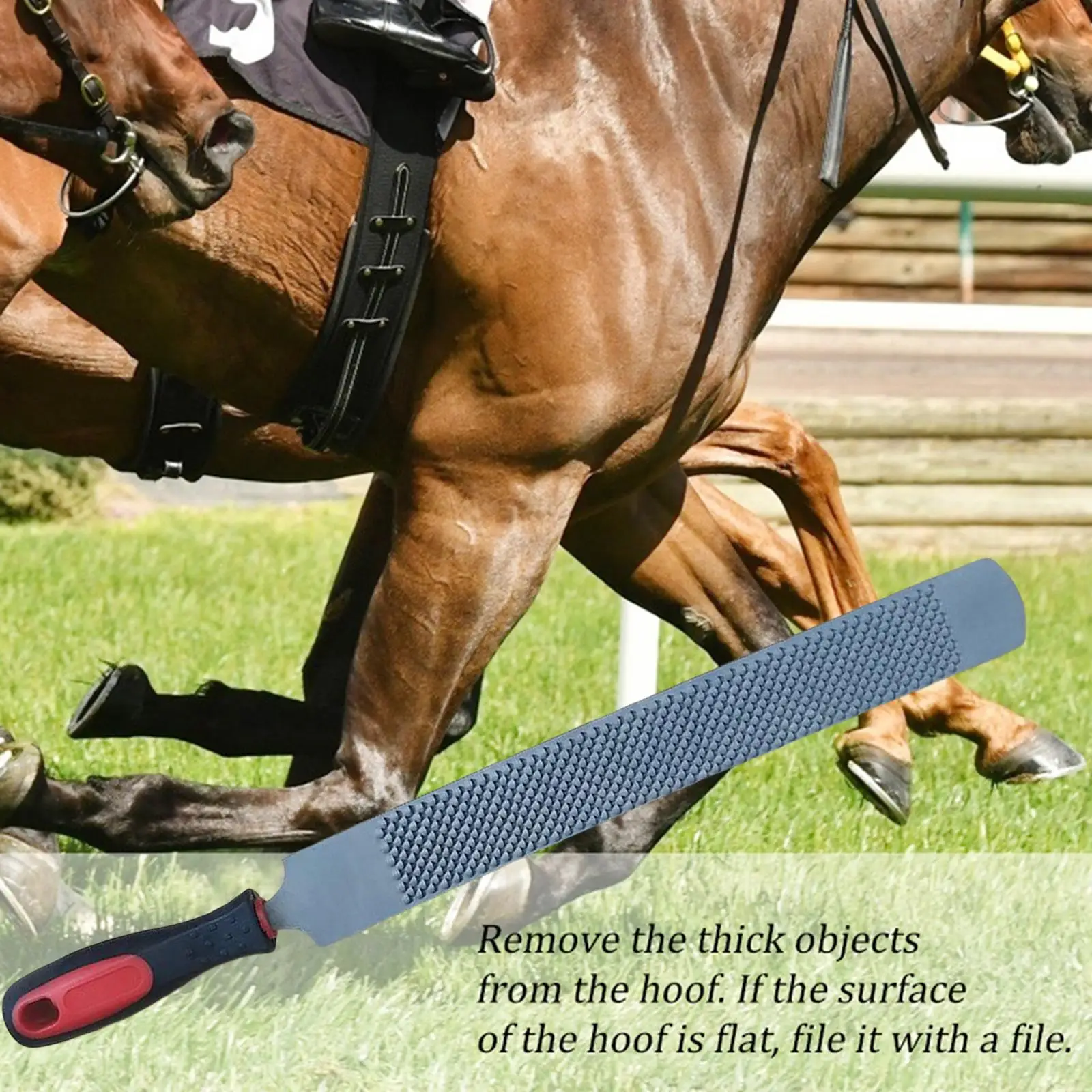Horse Hoof Rasp Trimming File Knife Double Sided Farrier Tool with Handle for Hoof and Shoe Trimming