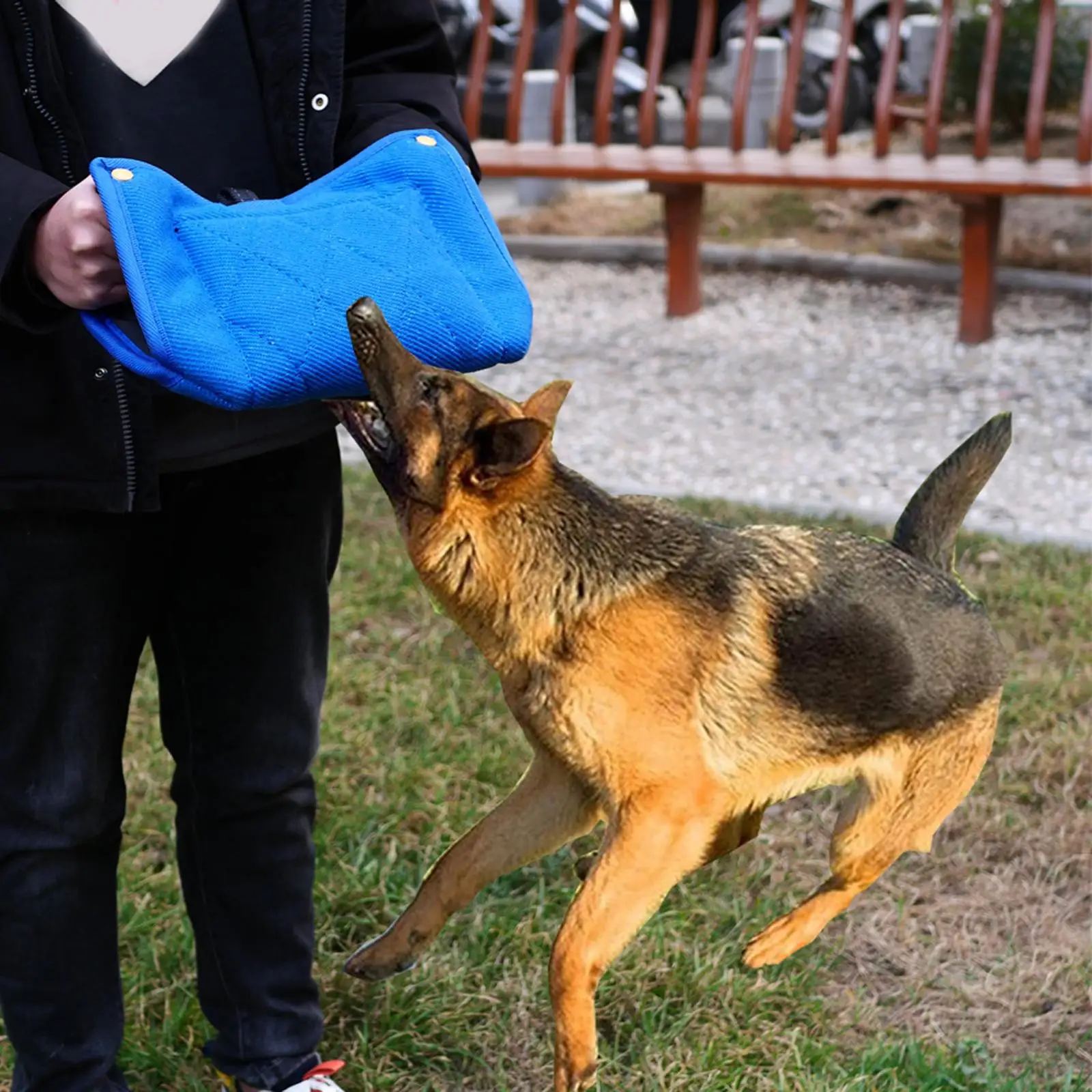 Dog Bite  Puppy Trainer Biting Training for German  Bulldog