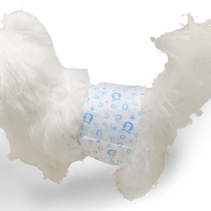 Title 2, 12 Pieces Female Male Dog Diapers Highly Absorb...