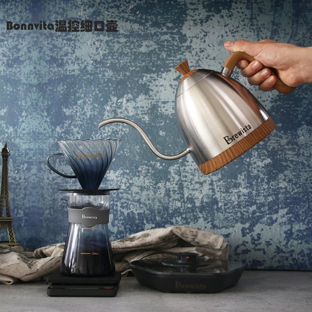 Brewitsa-Stainless Steel Electric Coffee Kettle, Gooseneck, Temperature  Control, 600ml - AliExpress