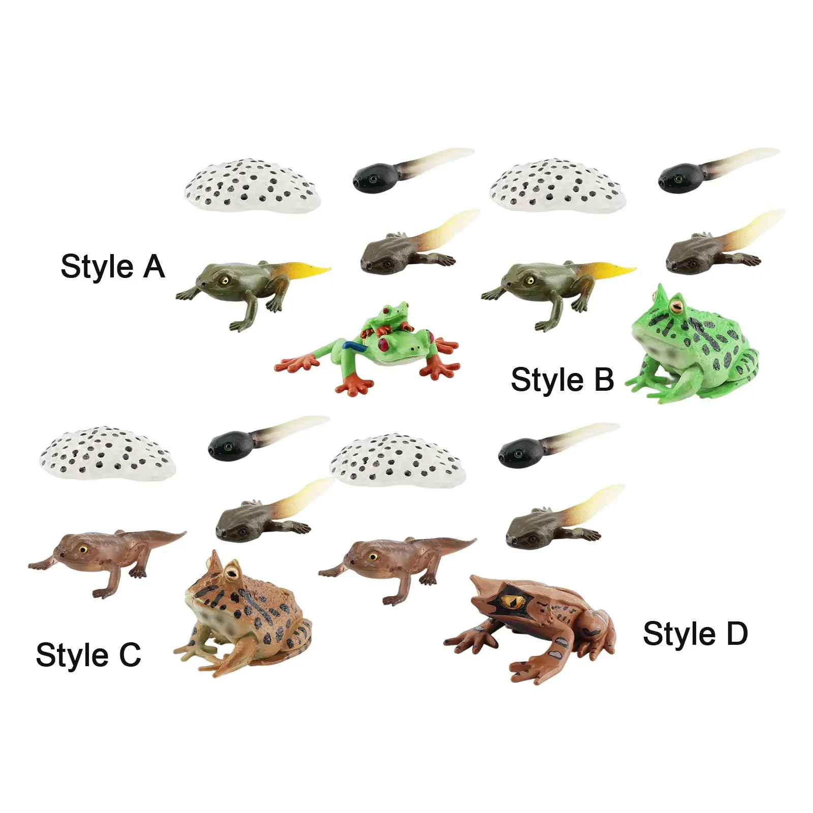 Life Cycle Figurines 4 Stages of Frog Frogs Life Cycle Model for Preschool Early Educational