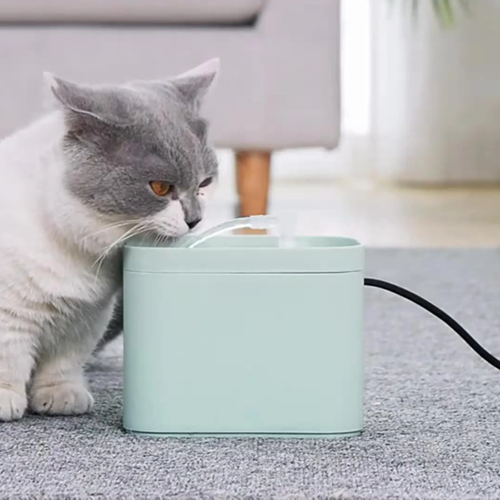 Pet Cat Water Fountain Water Dispenser Super Quiet Drinking Water Bowl USB