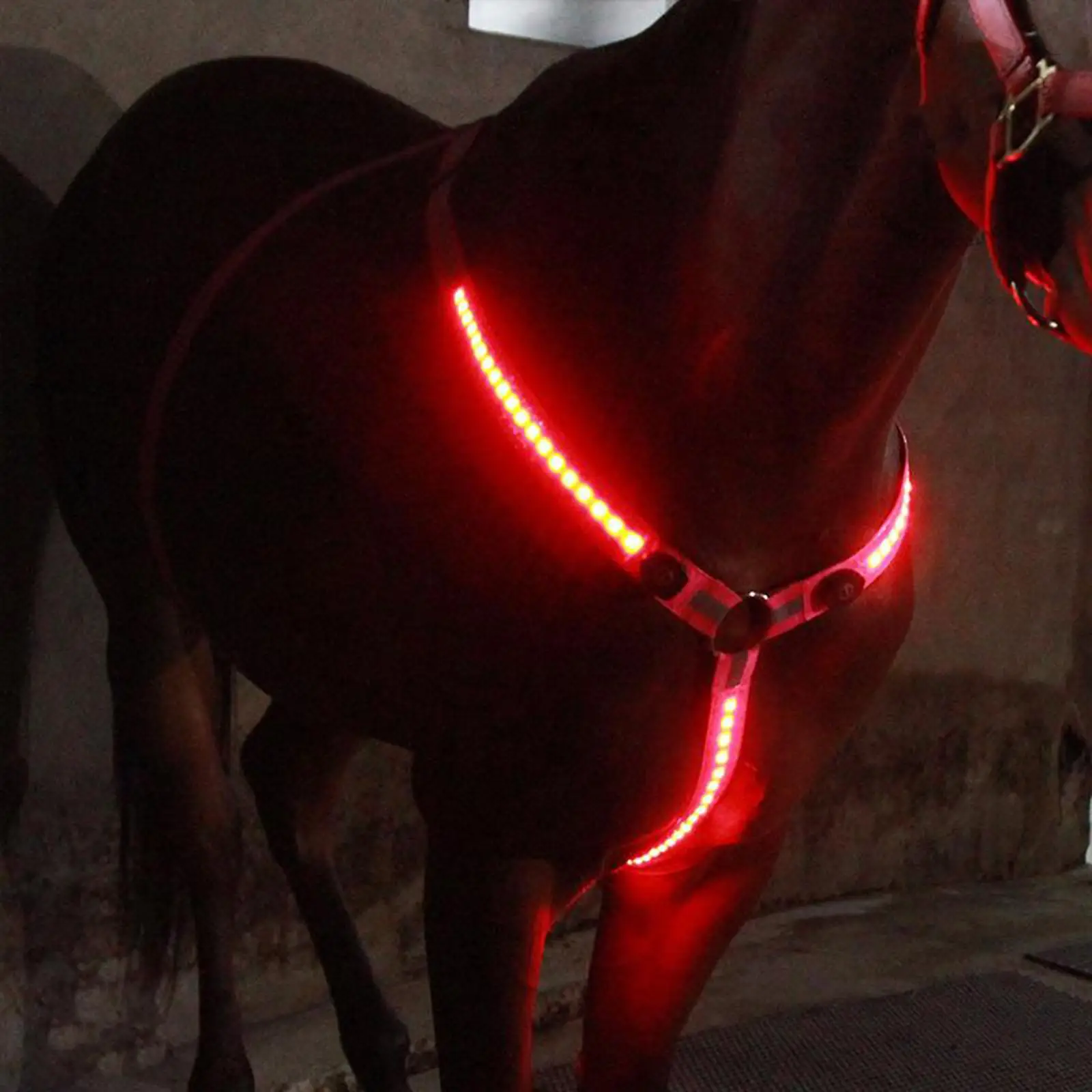 Elastic LED Horse Breastplate Collar Halter Head Harness for Horse Riding in Night-Highly Visible Safety Protective Gear