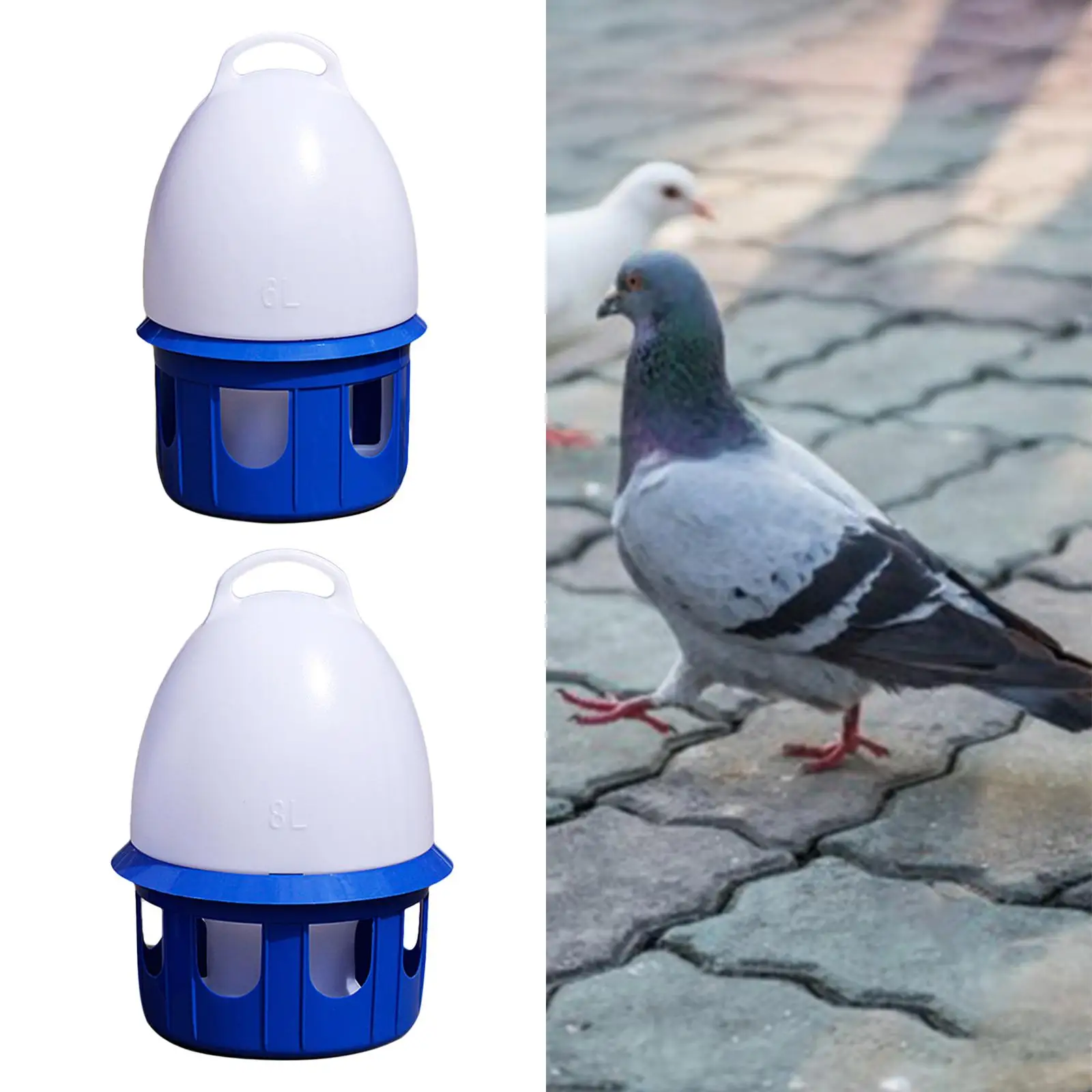 Pigeon Waterer Drinker Water Bottle Feeder Watering Water Feeding Automatic Bird Water Dispenser for Dove Parrot Parakeet Duck