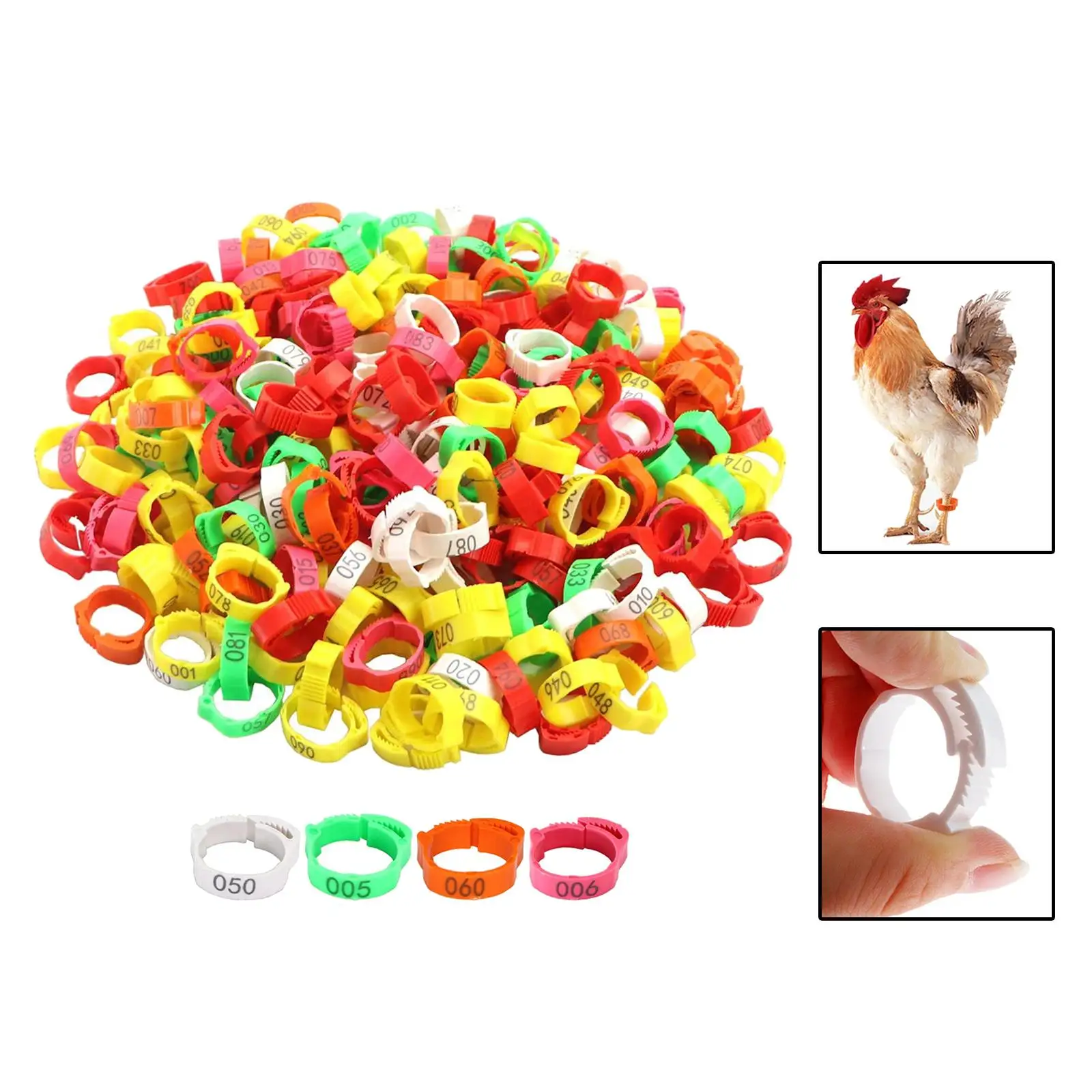 100x Poultry Foot Bands Adjustable Buckle Clip Ring Foot Label Rings Chicken Leg Rings for Chickens Ducks Pigeon Goose Bantam