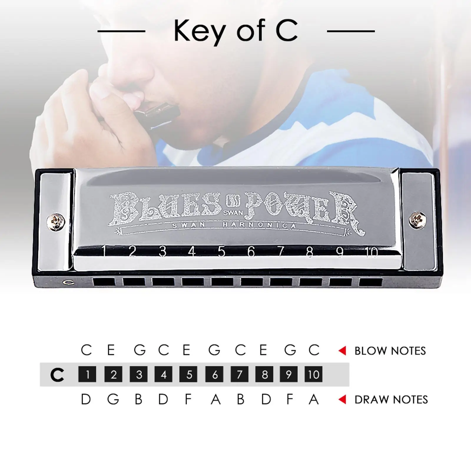 Portable Harmonica 10 Holes C Key 3 Octaves Mouth Organ for Music Lovers Beginners Adults Professionals Holiday Gift