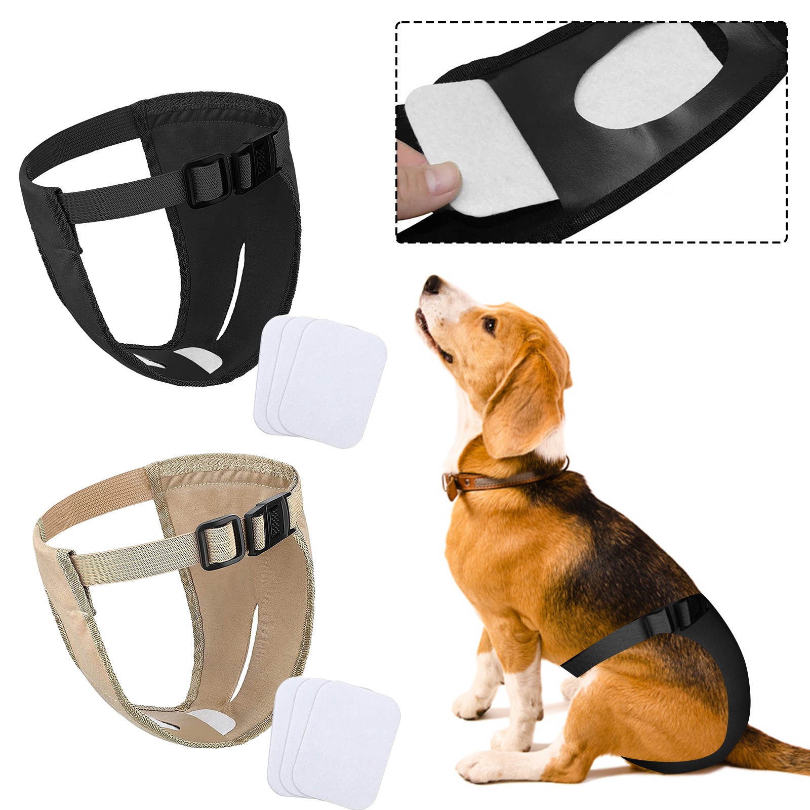 physiological pants for dogs