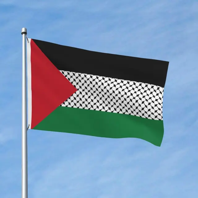 Palestinian Hatta Kufiya Folk Flag Banner Palestine Arabic Traditional  Keffiyeh Design Decoration 2x3 3x5 4x6 5x8 FT Flags - AliExpress