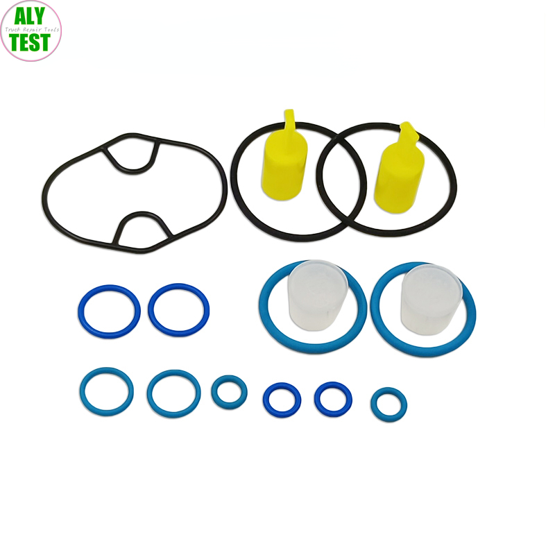 Für BOSCH Common Rail Pumpe Cp4.1 Cp4.2 Cp4.3 Reparatursätze Dichtungsring Unterlegscheibe – Detail 1