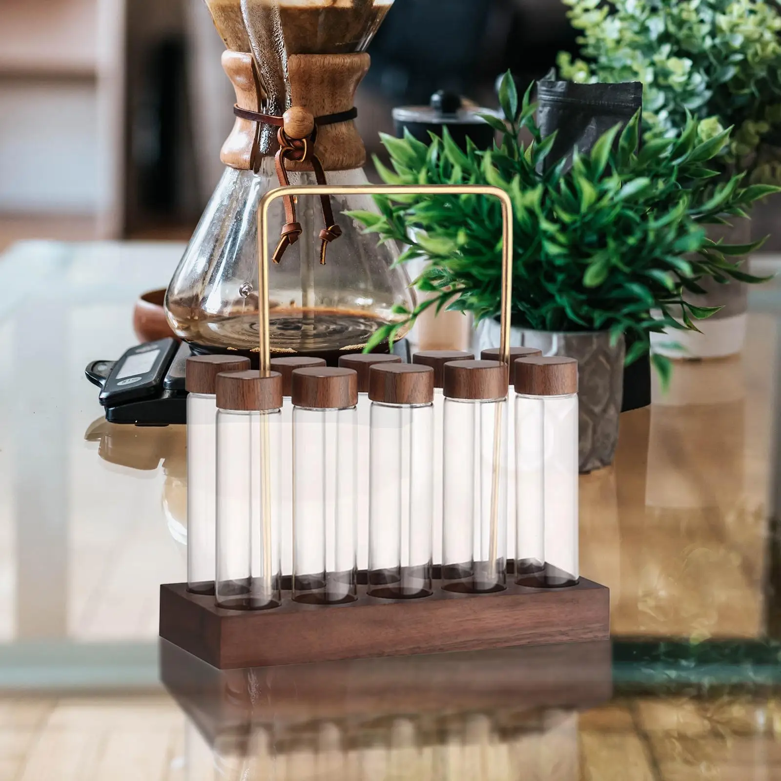 10x Glass Coffee Beans Storage Containers with Wooden Holder Stand Single Dose Coffee Bean Cellar Tube for Heartwarming Gift
