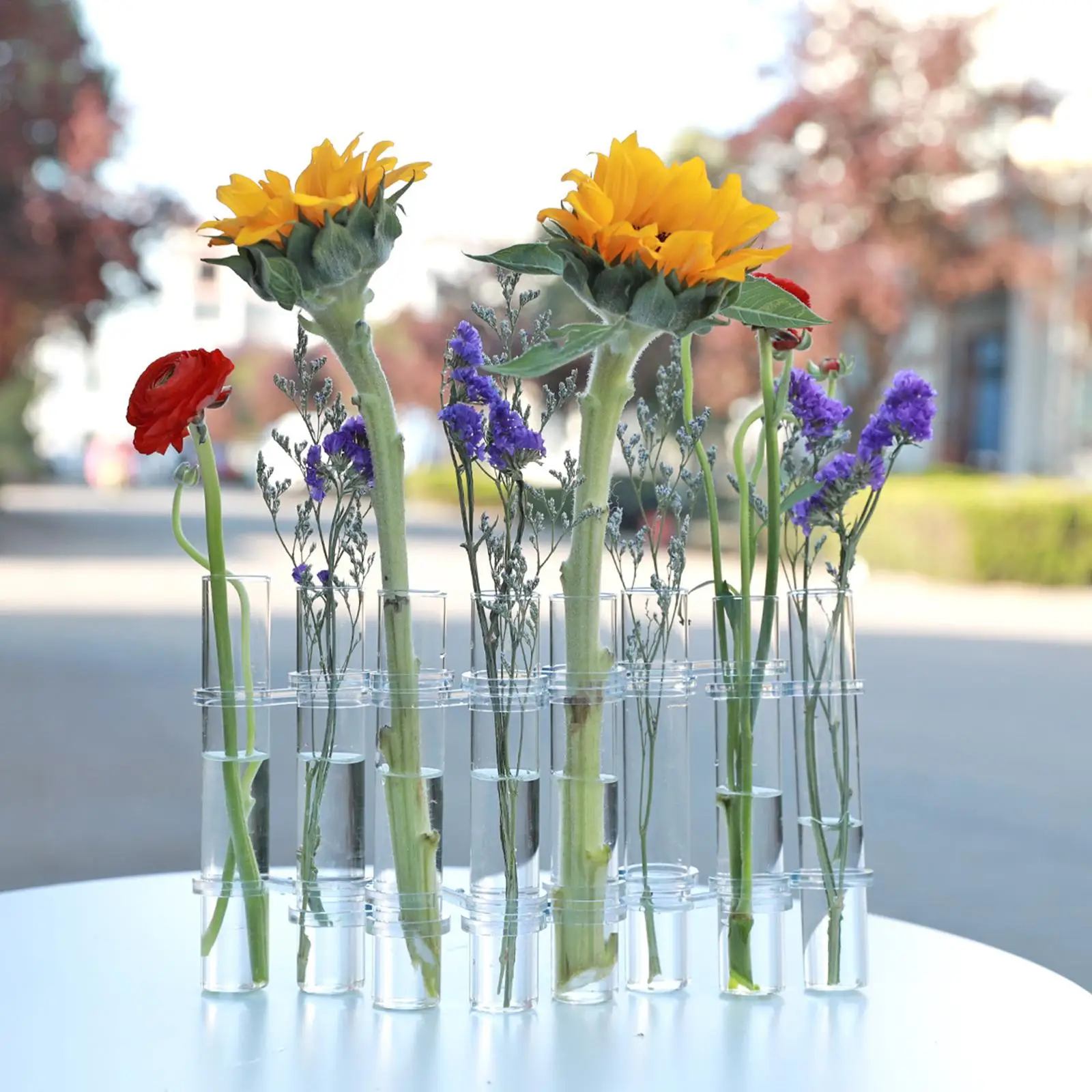 Planter Test Tube Terrarium Flower Vase Tabletop Glass holder Hydroponic  Great Propagators for Cuttings - AliExpress