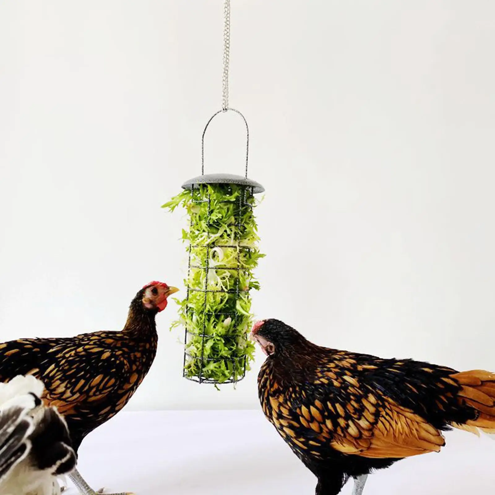 Bird Feeder Toy Suet Cake Bird Feeders Foraging Basket for Porch Patio Fruit