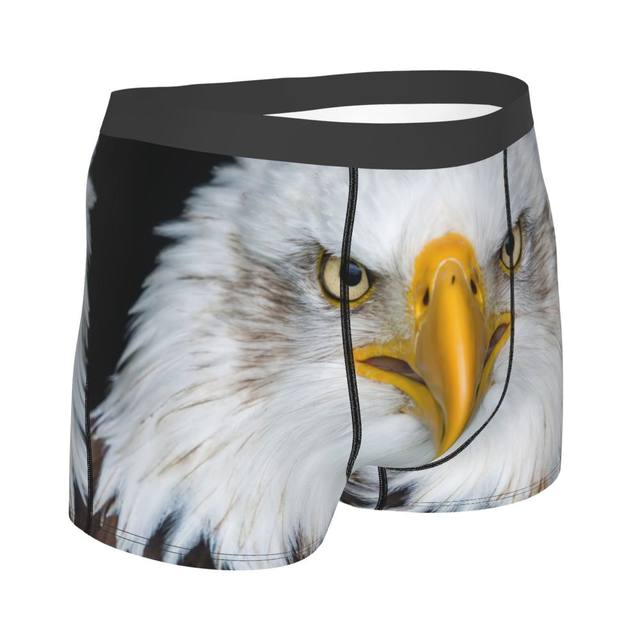 American Bald Eagle Underpants Breathbale Panties Male Underwear Print  Shorts Boxer Briefs - AliExpress