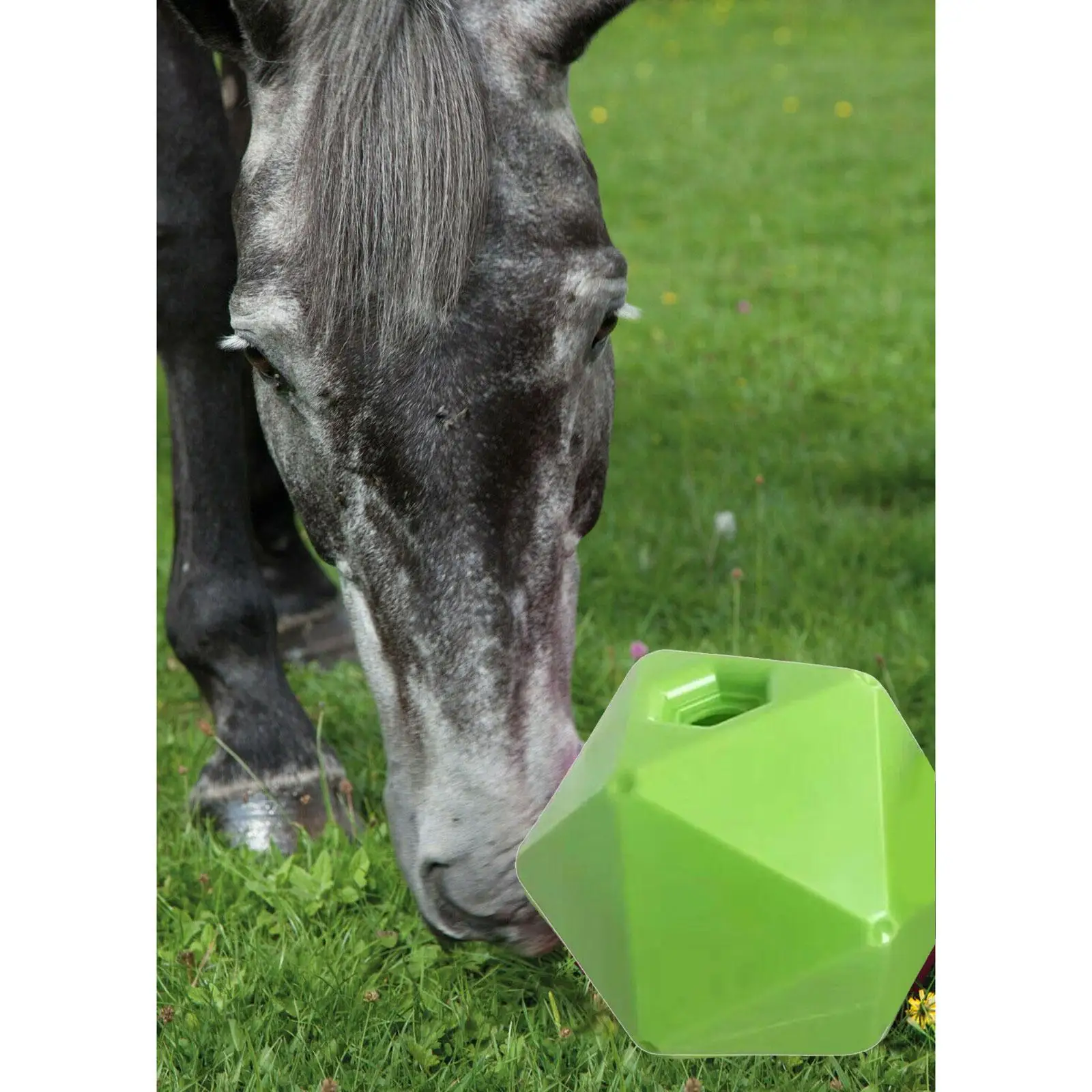 Funny Horse Treat Ball Feeding Toys Accessories Play Equestrian Stable Ball for Equine Cow Farmhouse Lawn