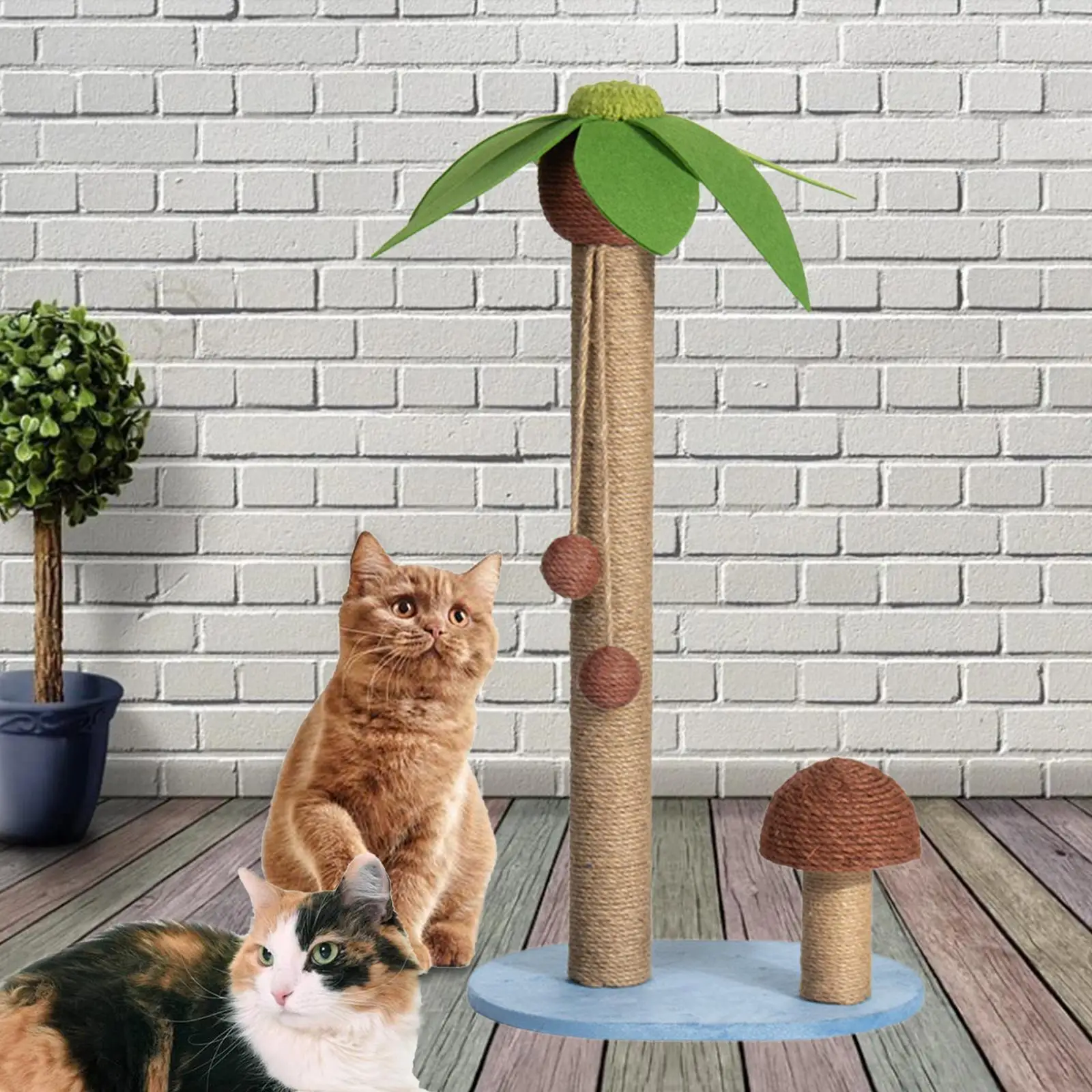 Stable Cat Scratcher for Indoor Cats Cat Scratching Post Scratching Pole