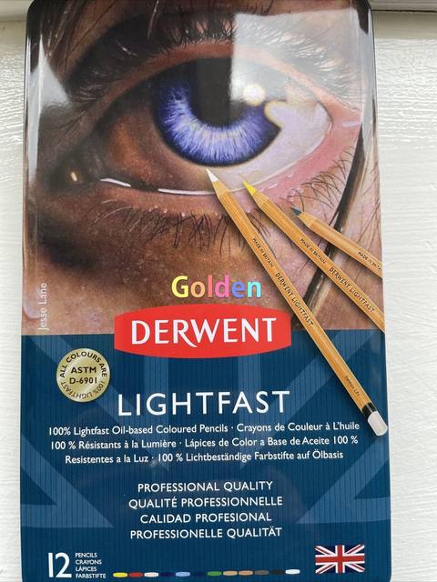 Derwent Lightfast Professional Quality Artist Oil Base Colour Pencils 12 Set  - Wooden Colored Pencils - AliExpress