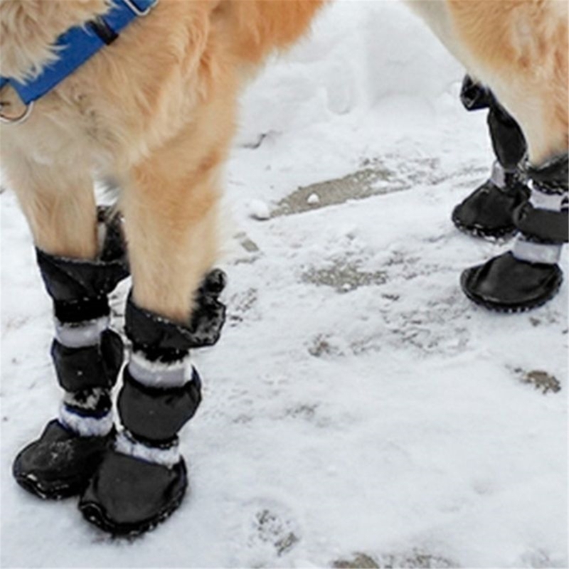 Title 10, Scarpe per cani invernali regolabili impermeabi...