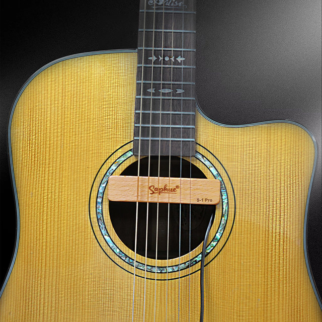 シーガル様専用 カメオ Seagull Artist Cameo CW Deluxe QII エレアコ