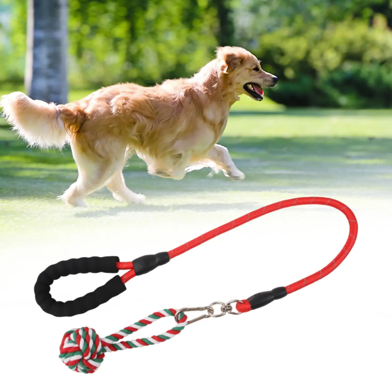 Dog Chew Toy Indoor Outdoor Dog Interactive Toys Dog Rope Toy for Kitty Small Breeds Small Dogs Aggressive Chewers Indoor Cats