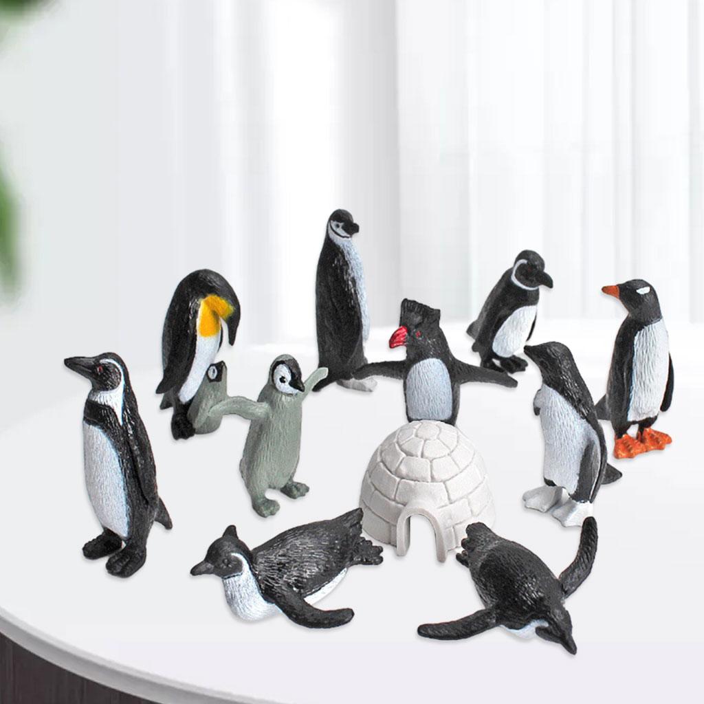 11x Simulation Animal Penguin Toy Educational Toys for Collectibles