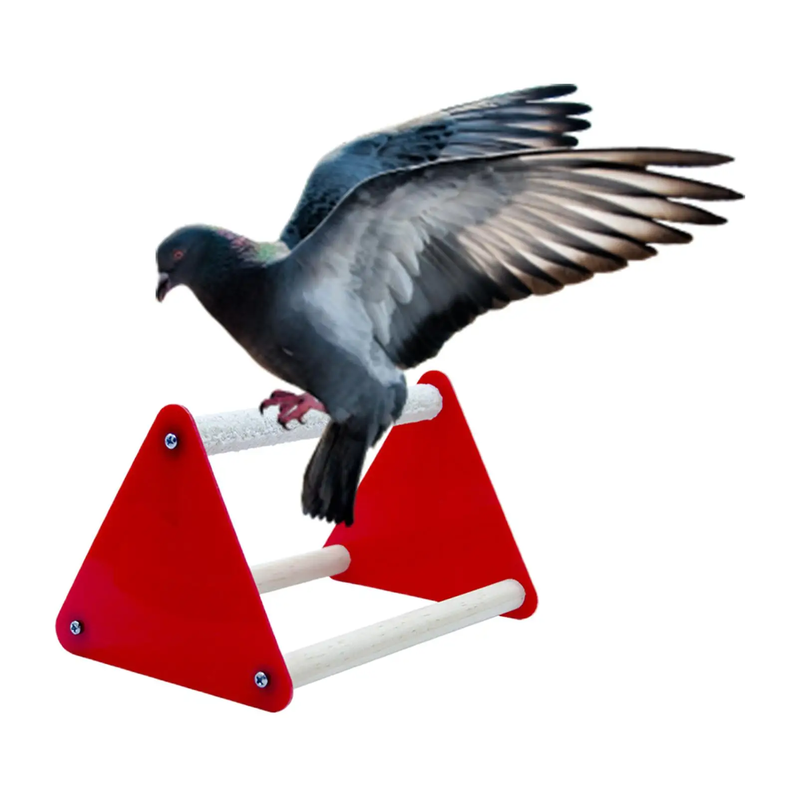 Pet Parrot Playstand Exercise Activity Center Training for Lorikeet Cockatoo