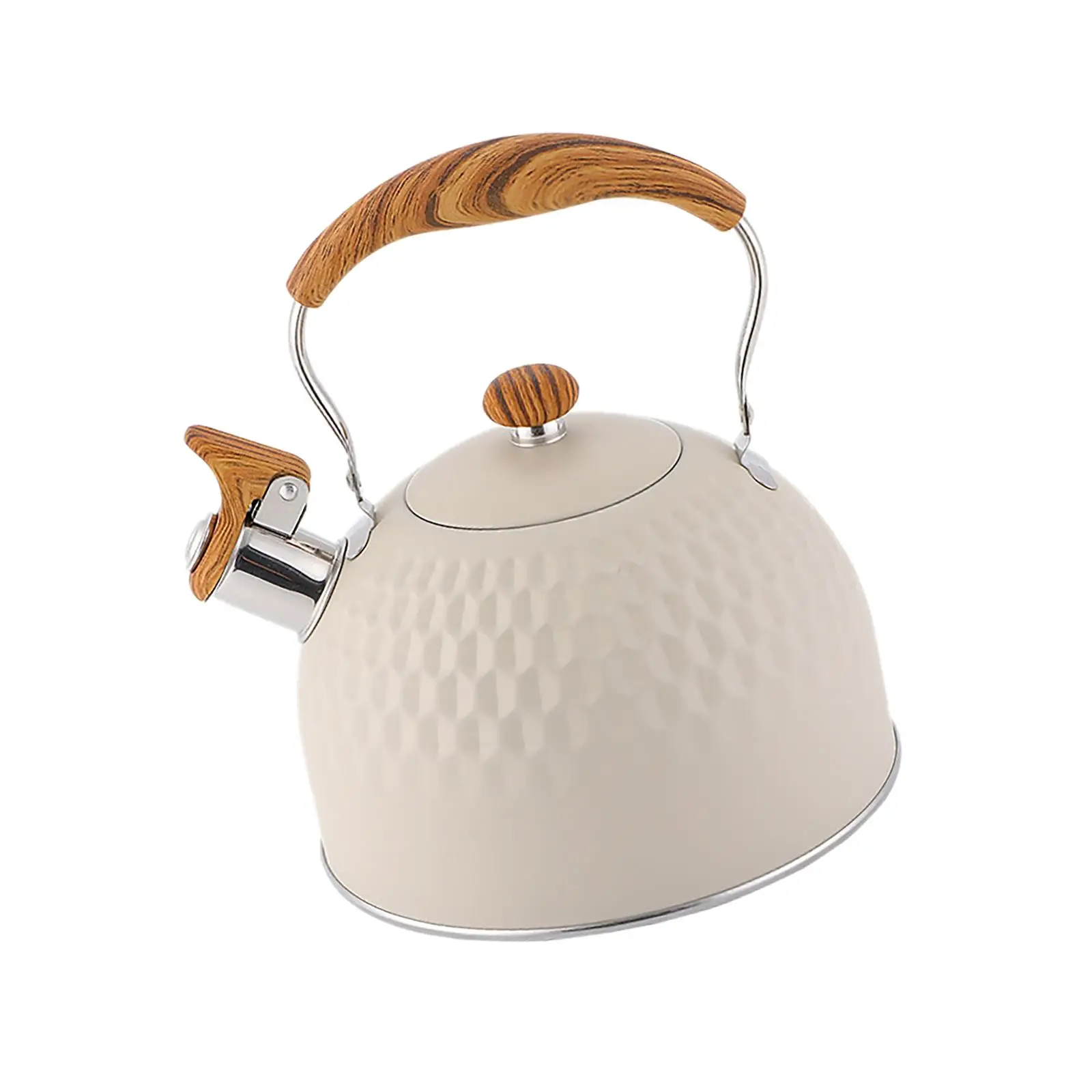 2500ml Tea Kettle with Handle Water Boiling Kettle for Household Cafe