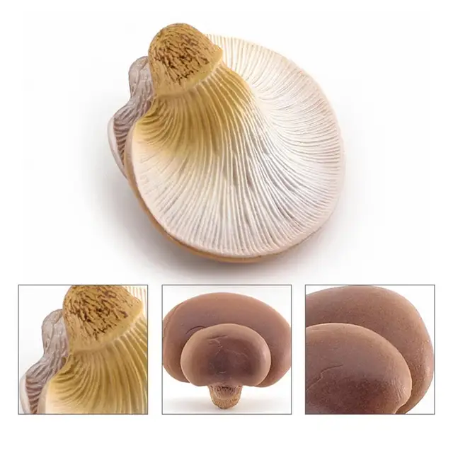 Mushroom Mold Decorative PVC Mushroom Figure Multi Styles Realistic  Mushroom Ornament False Mushroom Figurine Photograph Props - AliExpress