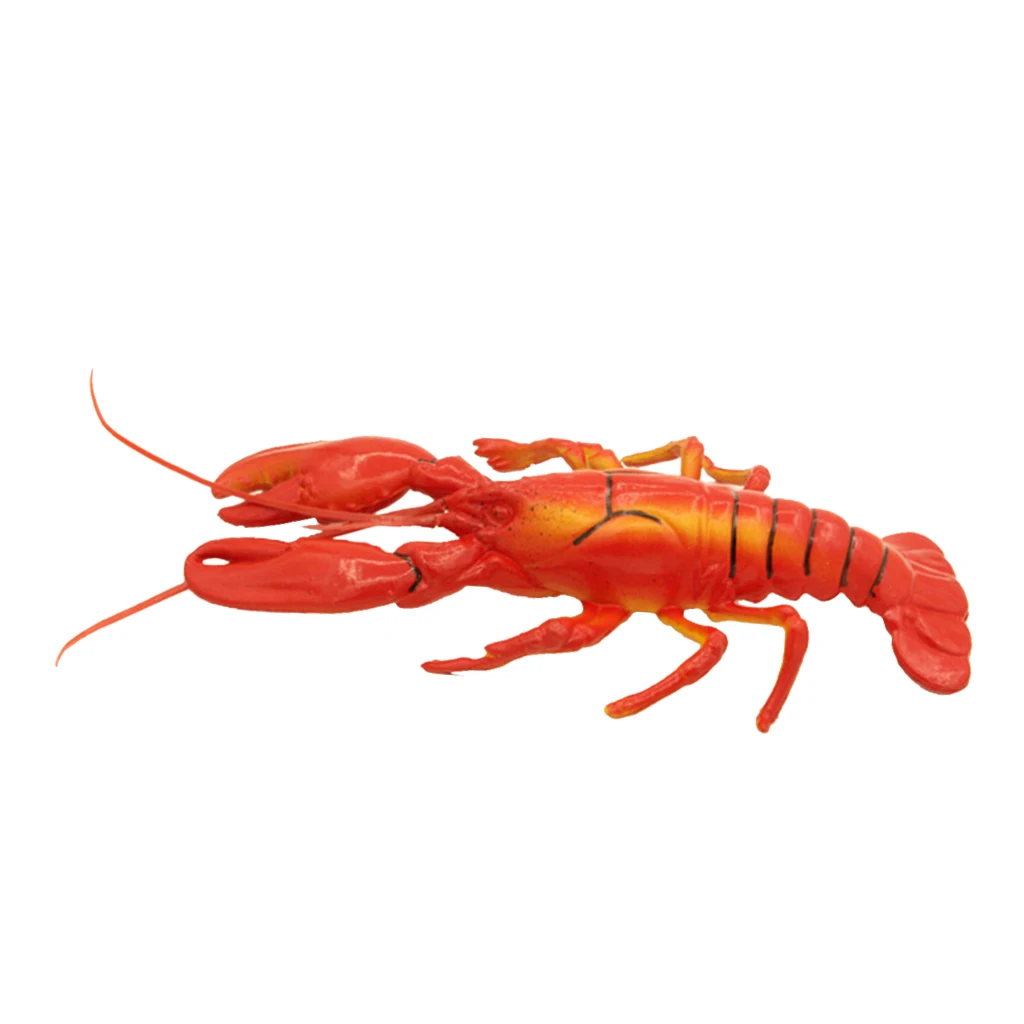 Artificial Seafood Realistic Model for Pretend Play Toy, Home Decoration, Market Display & Photography Props