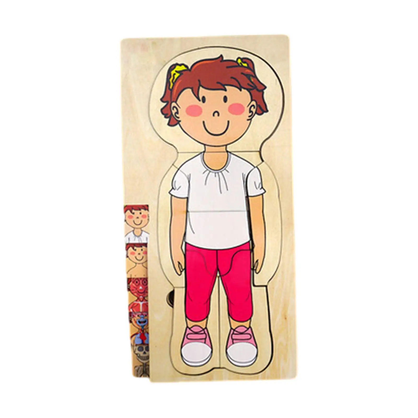 Wooden Human Body Puzzle Toys, Wooden Puzzle Toys, Interchangeable Puzzle