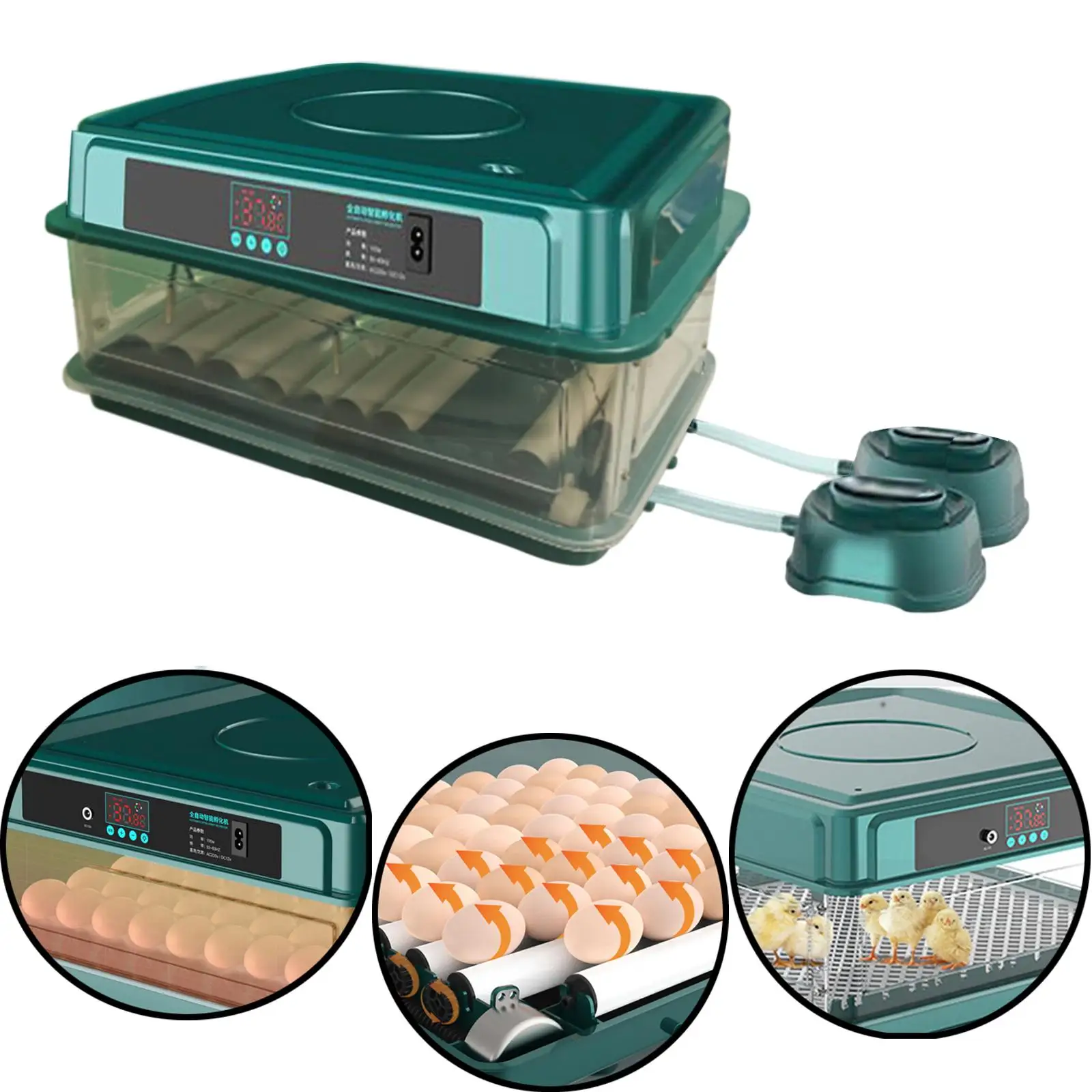 Digital Egg Incubator Poultry Brooder Desk Hold 64 Eggs Automatic Poultry Hatcher Hatching Machine Egg Turner for Quail Chicken