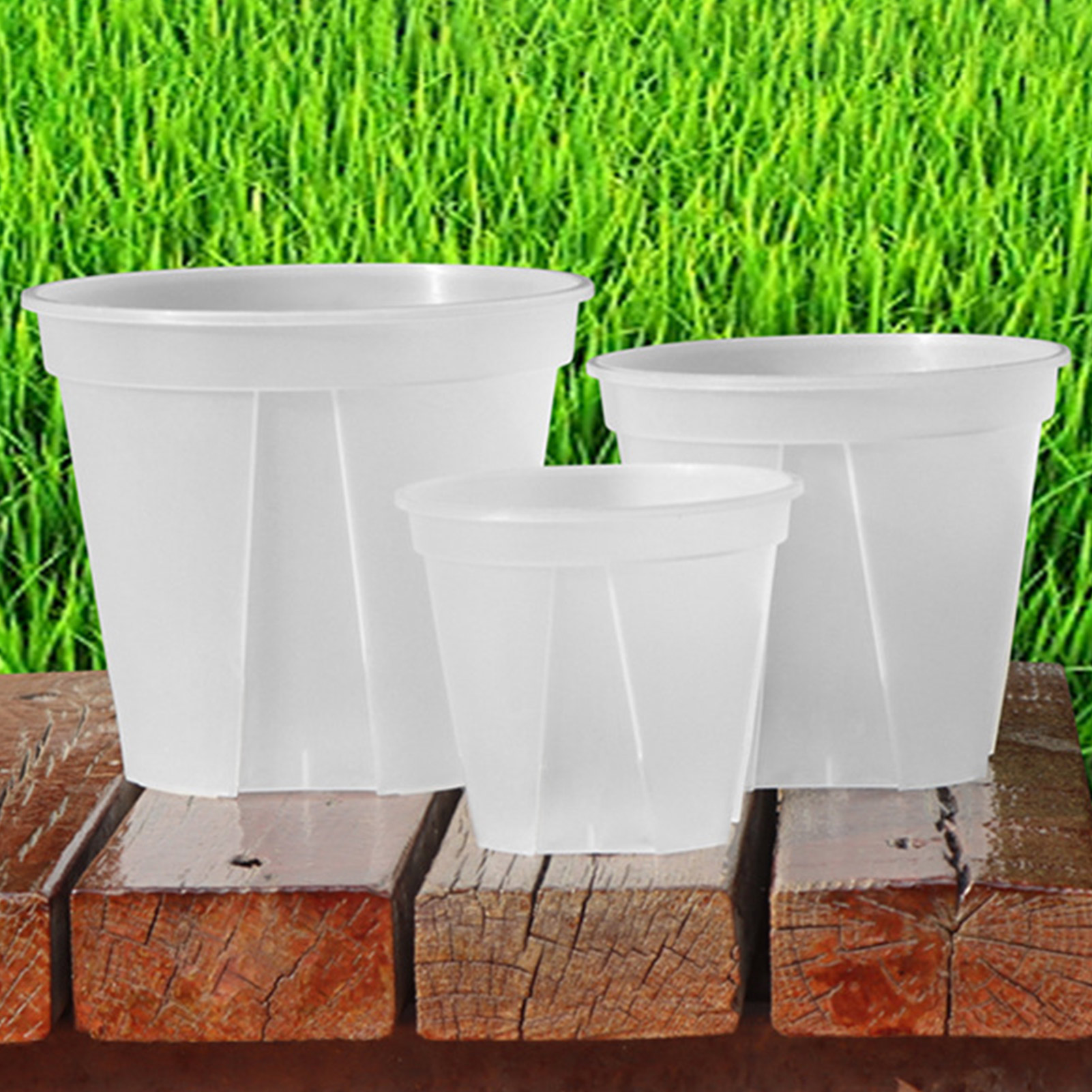 Description Picture 4 of itemRoot Control Transparent Flower Pots With Tray Plastic Plant Pots Breathable Nursery Pots For Planting Orchids Garden Supplies
