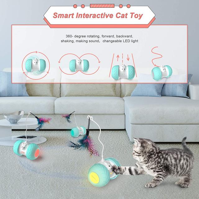 Cat Toys Cat Play Mat,kitten Toys Bed Set 13 Pcs Foldable Cat Activity  Center Interactive Cat Toys For Indoor Cats - Cat Toys - AliExpress