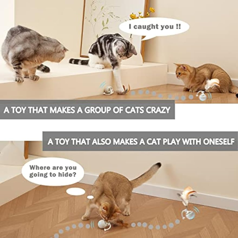 Title 4, Jouets électroniques pour chats d