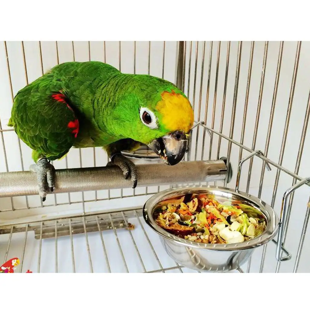 Bird Cage Food Water Bowl Cup Dish for Parrots Budgie Parakeet Lovebird Stainless Steel Food Cup Bird Feeding Dish