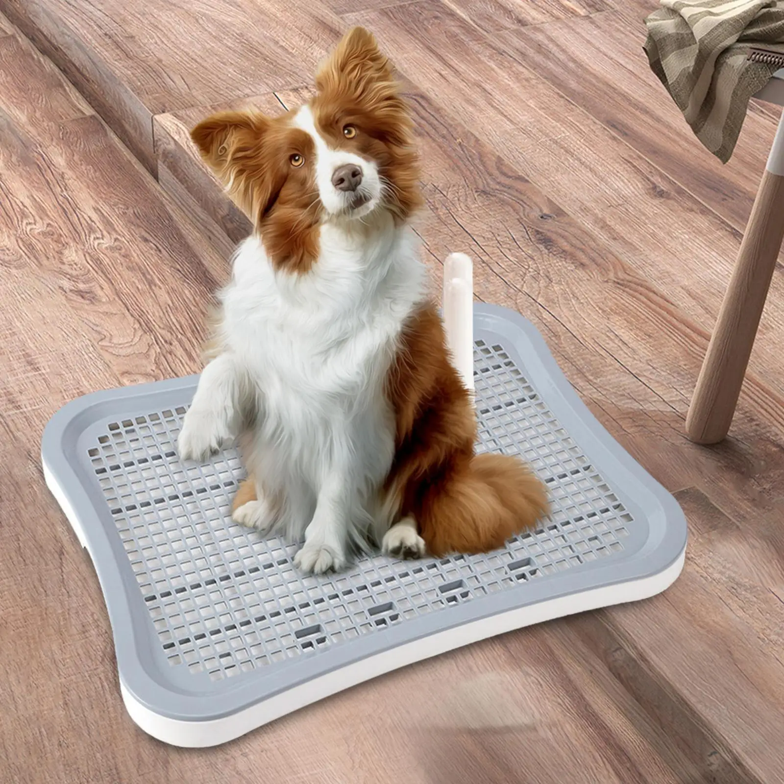 Dog Training Toilet Dog Potty Tray Litter Bedding Box Anti Slip with Urinary