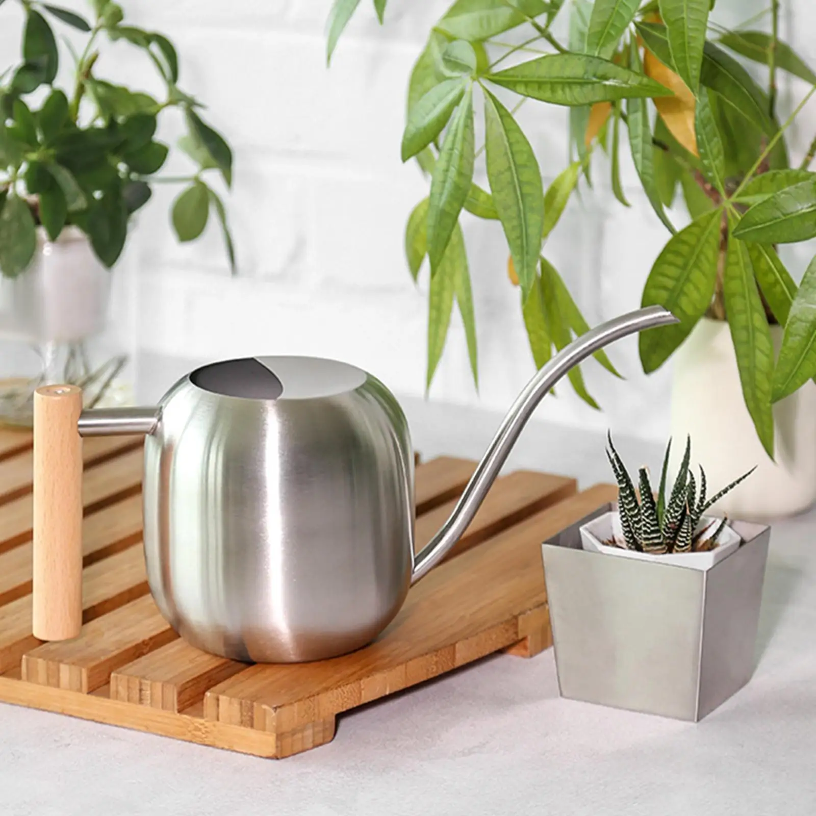 Stainless Steel Watering Can Small Wooden Handle for Outdoor Patio Decor